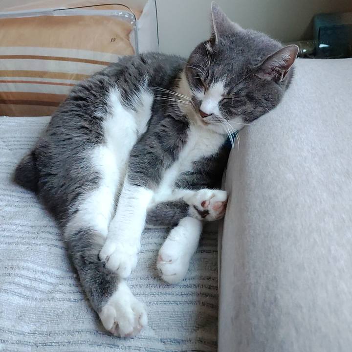 97167a15 4bc6 4100 ba93 190256009ca8 1716972144092