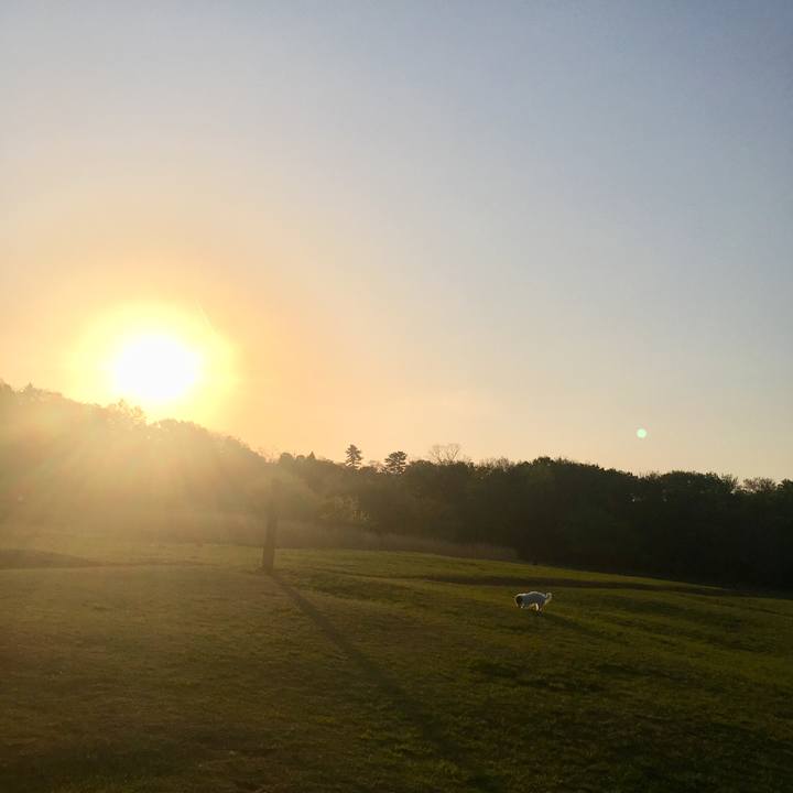 97167d91 b96d 4281 ad50 78e011b40219 1527812609943