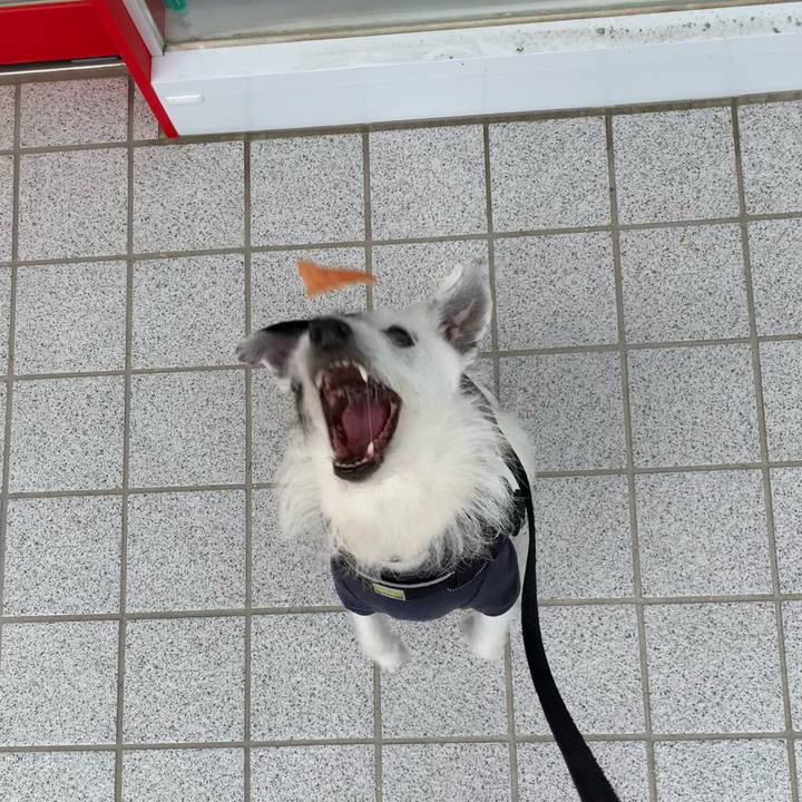 971681e1 0239 43ee 97a6 af5e857514e6 1715763889729