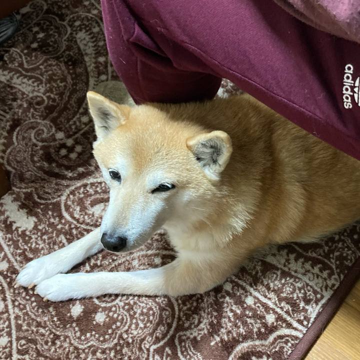 97169266 f587 4d1d 960a 5e1fb3c07181 1612959178315