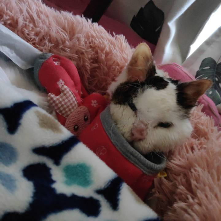 971698aa af52 46f4 a531 1fdfeb01c00f 1611272931206