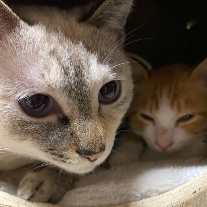 97169b8f 0432 4543 bcfa 7297fb9018cd 1666690619579