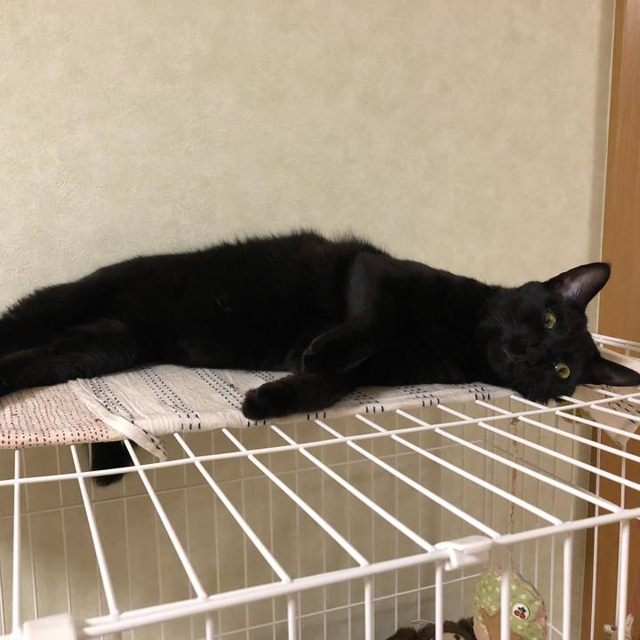 9716a91b 4d0d 4595 9b2b 1b5b8ec8ec8b 1531656652238