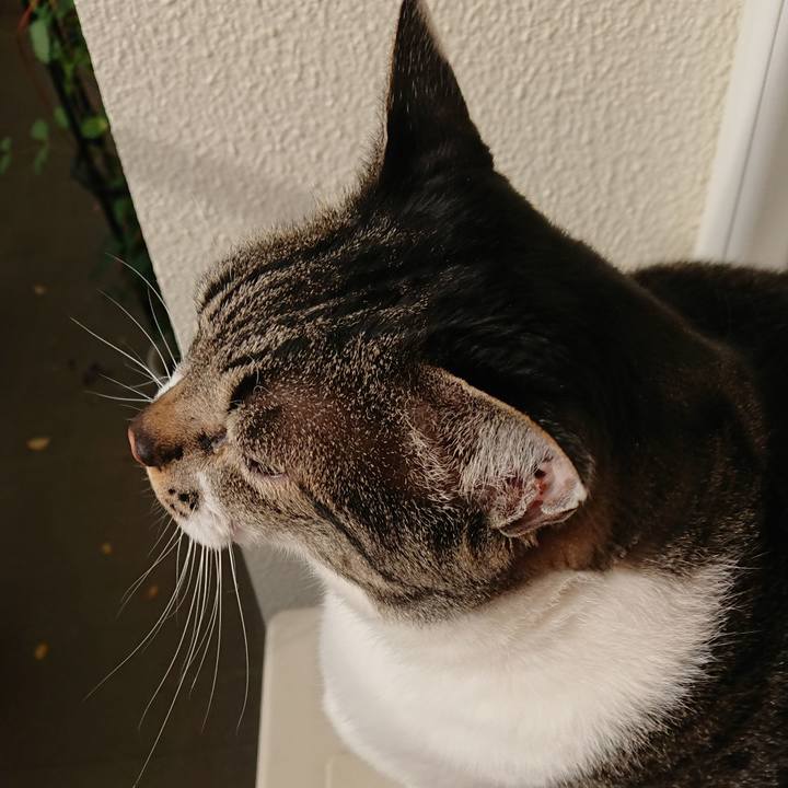 9716b5c9 eab2 41ec 95ef c3e03cecab2a 1527631683426