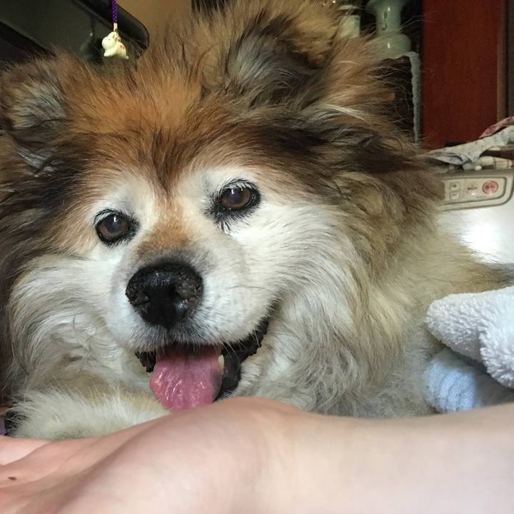 9716b85a 4d12 4369 9100 87d0d313964e 1574511401112