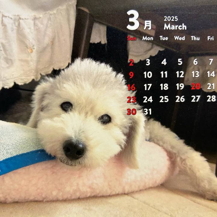 9716de7b 0874 45f7 baf0 9a696dbe3942 1741736962688