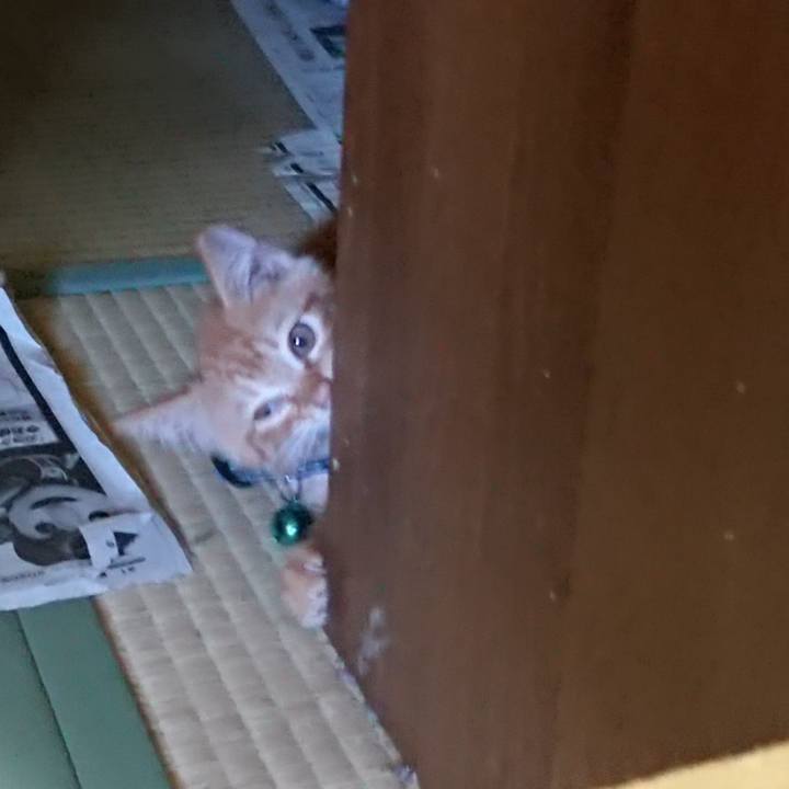 97170d9a 3541 47e8 87fb 0043cd9985f6 1627958455188