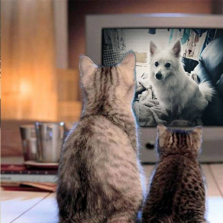 9717a357 c053 4c9f ba82 7a22aef0160f 1518759320503