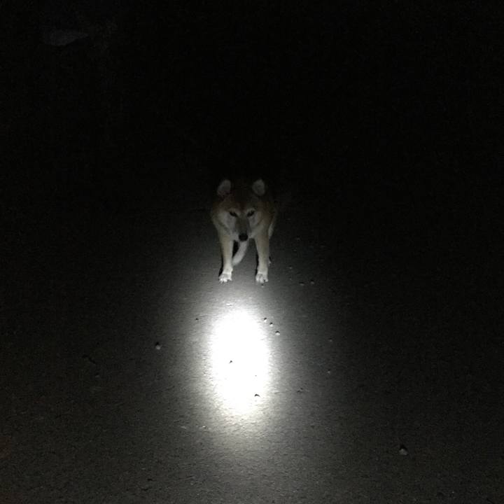 9717ad18 4597 4058 a642 d74b00e2ff6d 1567857803962