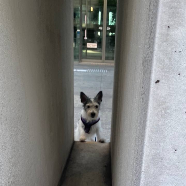 9717ccc2 76ec 41aa a0f8 4b1e86baa2c5 1599296851326