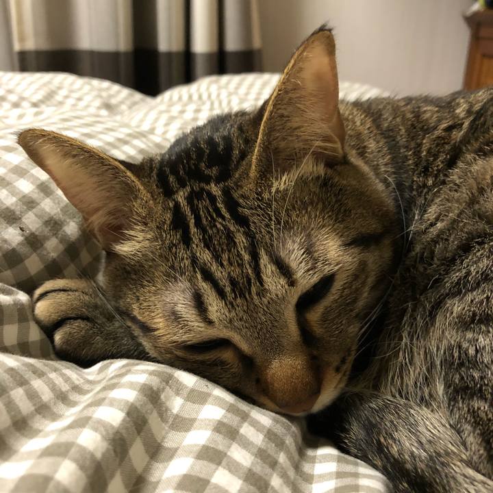 971801da 281e 426d 942f 70b2fce6916c 1520391972029