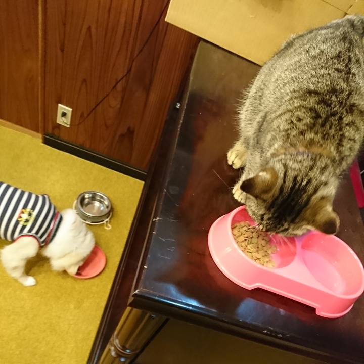 97181a9b 5b9b 4522 9ceb e1d7d5c8a1d2 1550352658184