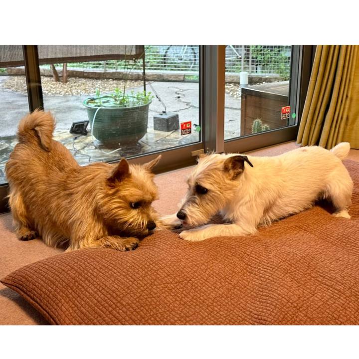 97183ca5 9eef 4dfc b8fb 392525d309a7 1757055004680