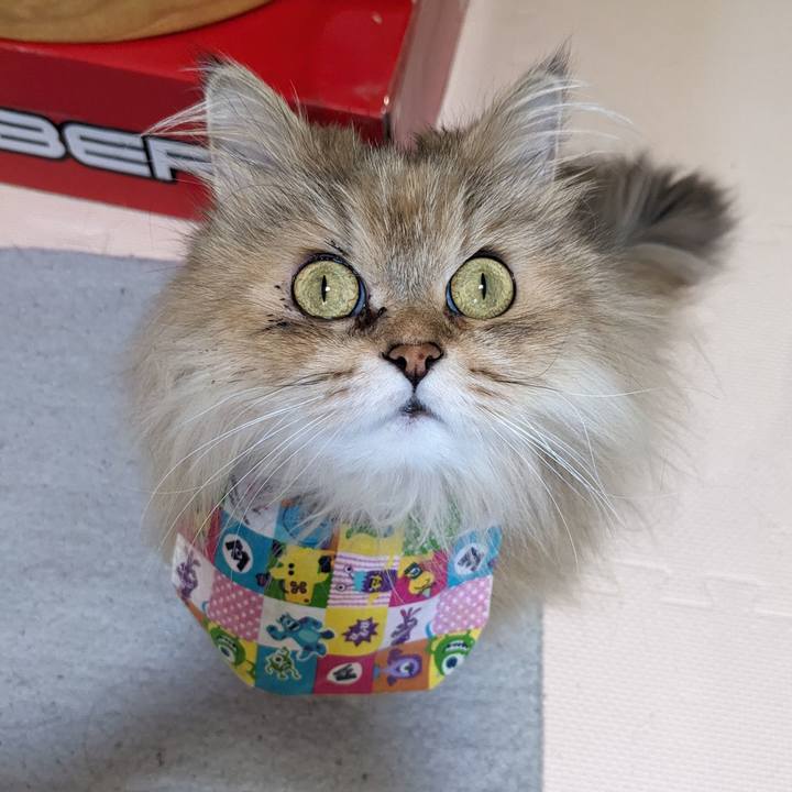 97186941 d401 4bdb 9eb8 2ef136861093 1713492629434