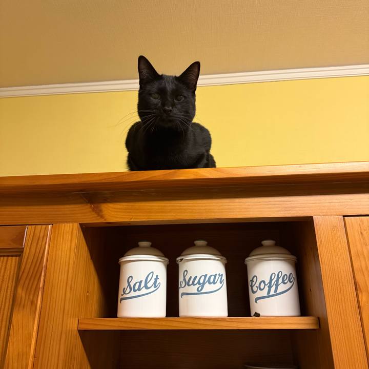 9718ae8e 2d76 4104 b91e 28fce244c726 1772192089445