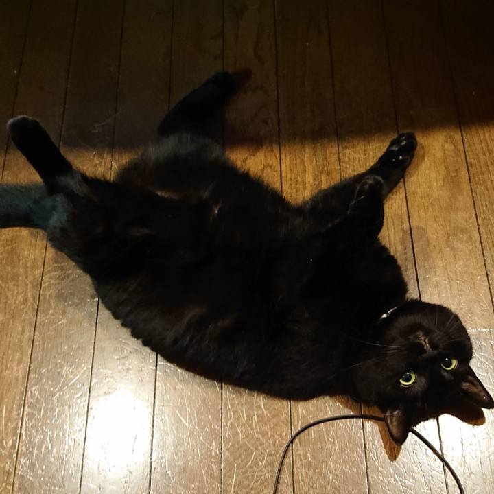 9718d427 41ed 4388 932b 609da6de582f 1564544939913