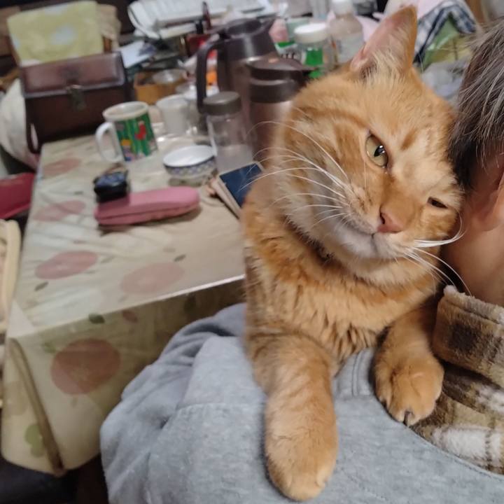 97191f6b 8447 4b6e 8d3b 13fcec999293 1764744323969