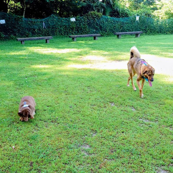 97193038 f3e9 467d 9658 e992d94899c6 1753060964690