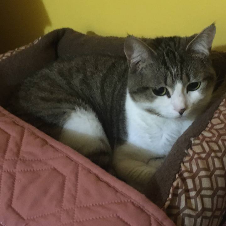 97196315 69db 424a bf6c 4c3b9696c6a2 1619227592136