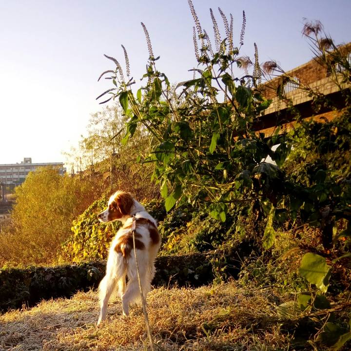 97196d89 648c 477b a164 306b6fb3ca3b 1512605871963