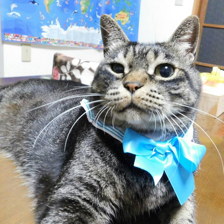 971a79c6 db84 4b5a 9d17 30a89e2e4ce5 1533383790605