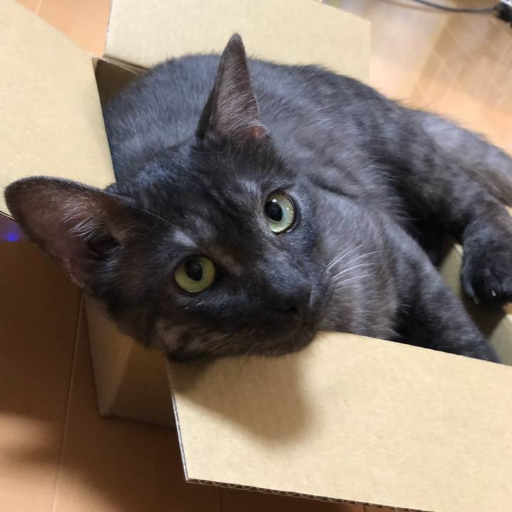 971aa7fb 3334 4cbd b85b f4e9692eb25f 1596009273364