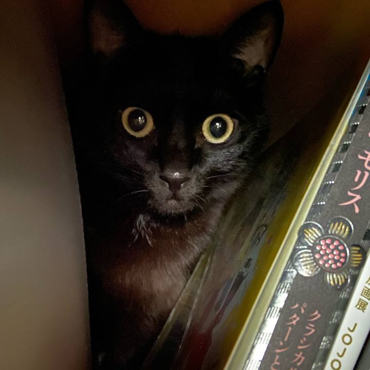 971af263 9886 4ffd 8c25 60fc1ec95b44 1670758734090