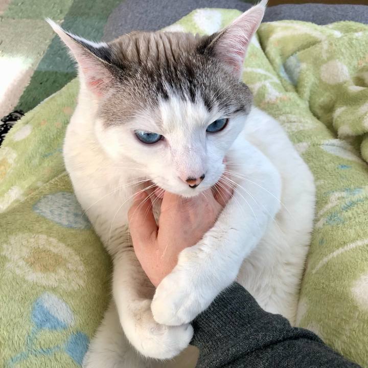 971b03ba 10bc 4fde ab68 1192dfdc08f6 1643087743982