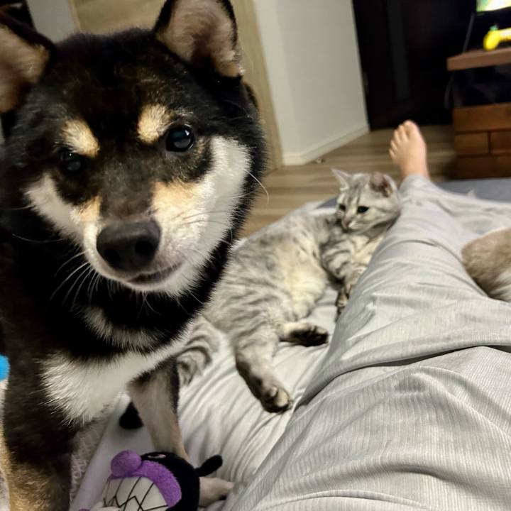 971b16e6 666b 44ed 9d98 2ba3d8f17c65 1689939784662