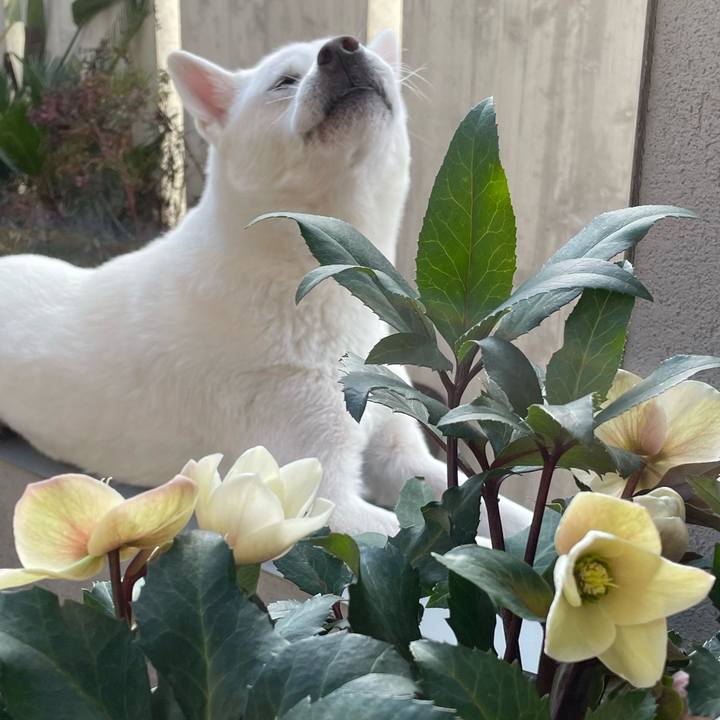 971b3b4b 0848 4b32 a752 fdb5b08aaef4 1675177878327