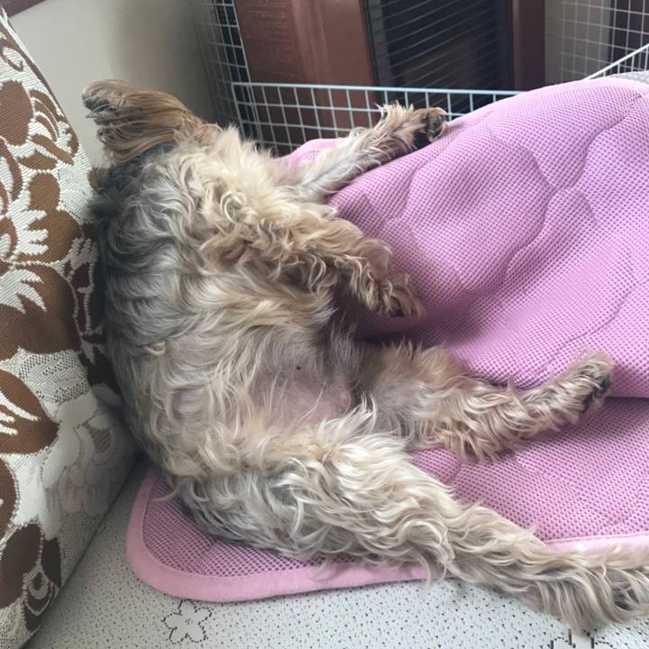 971b5968 9dcd 48fc bf5f 4a9bd2b99f3d 1555887522509