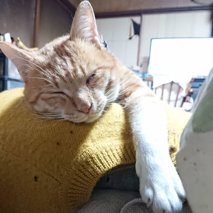 971b7b32 2118 4428 b093 d412d0512145 1573339739208