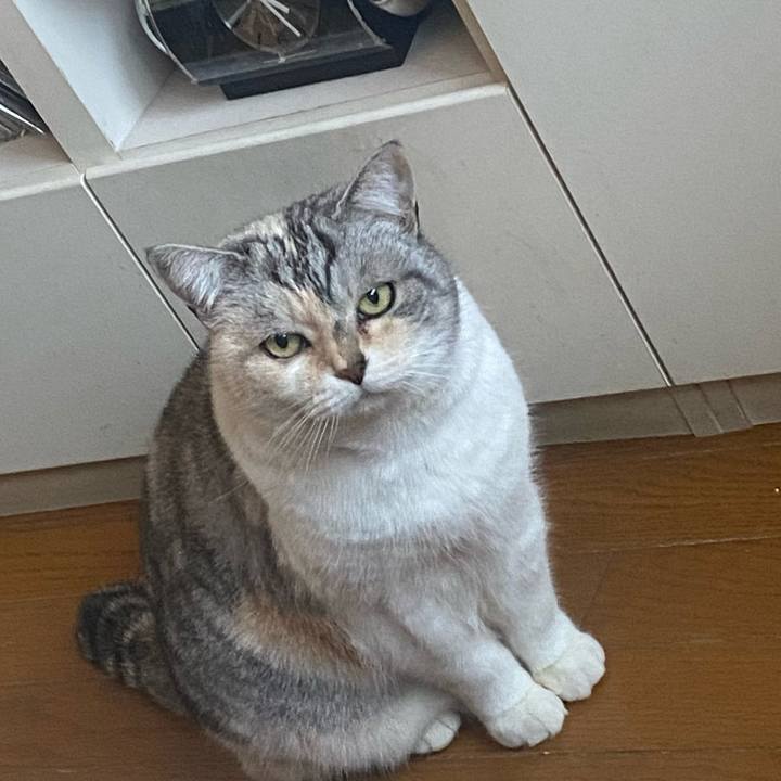 971b8a11 c3c5 42ea 89b9 87c85be2e276 1739258585232