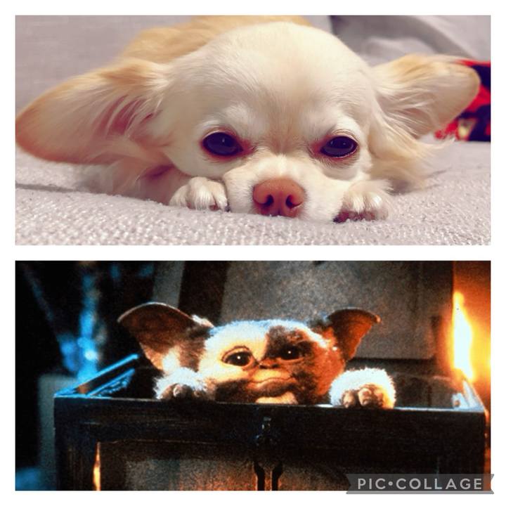 971bbc7c b9bb 4b48 a97b 03fc623a45d2 1704977828994