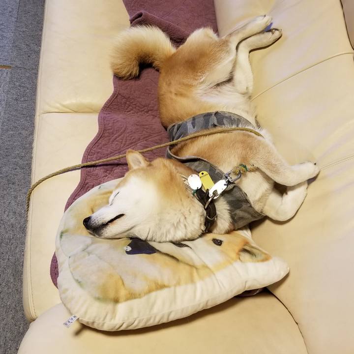 971bd916 f197 4f41 9599 f1f93867de1f 1644314113048