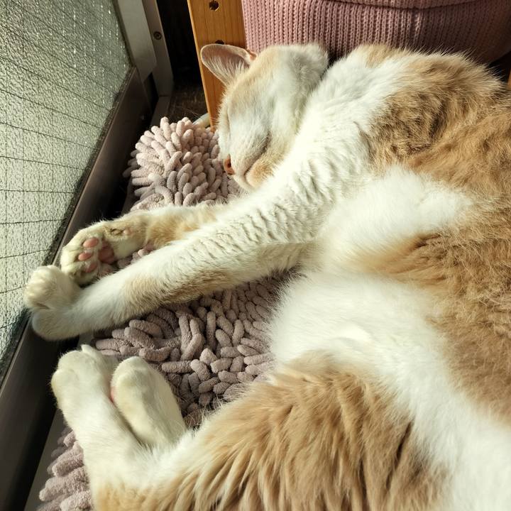 971c5136 ee6e 4dd0 be33 7431d1f86d97 1653345049452