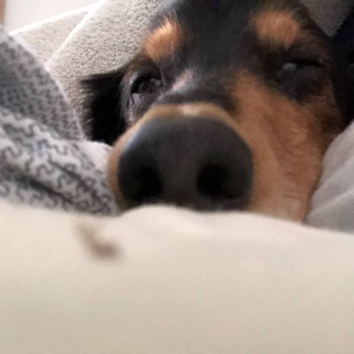 971c5b36 004a 4bec 968f 8f177ace05f5 1534552507035