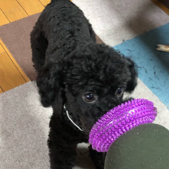 971c7b4f 1fb1 476c b865 2dd5a0e7b017 1528812554316