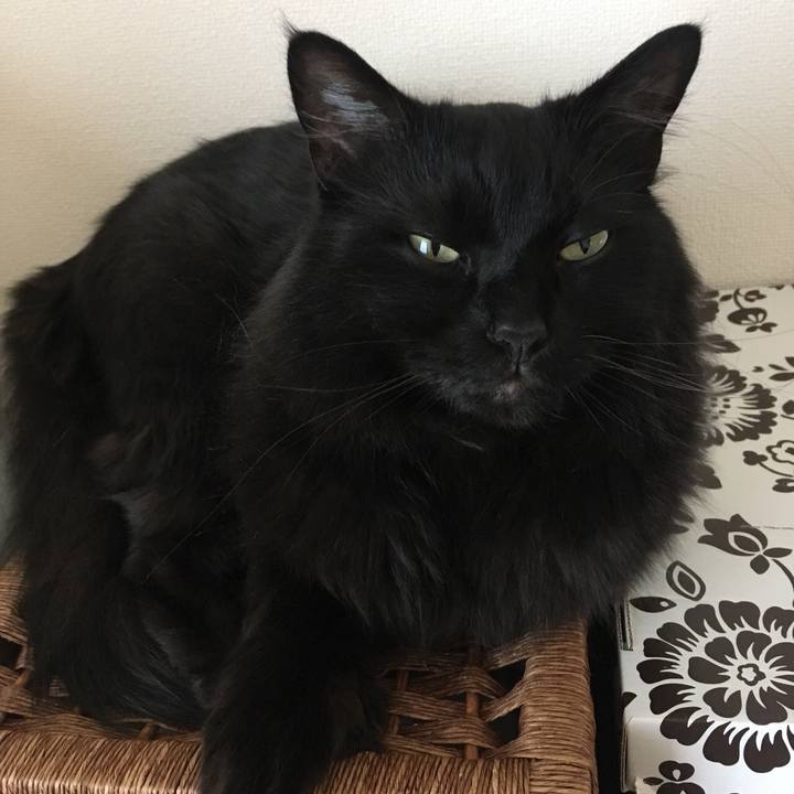 971ccfb4 e13f 4ec8 9534 61ffc1b55e29 1529718045326