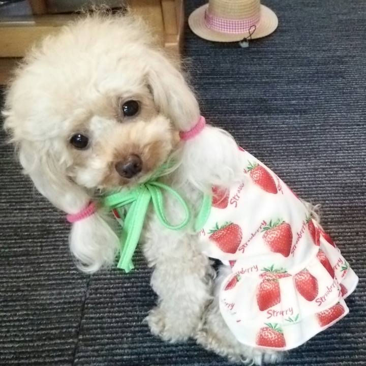 971ce30b c988 4604 b139 914deda7096a 1533199117625