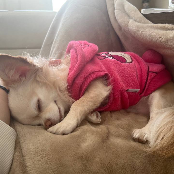 971d0759 f180 4620 81d1 fd4a3a67e977 1765613083602