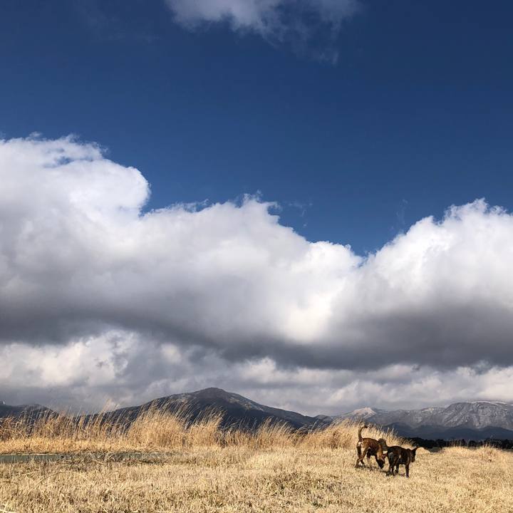 971d108c 5af7 4b75 9eb1 cb1541837479 1581161383238