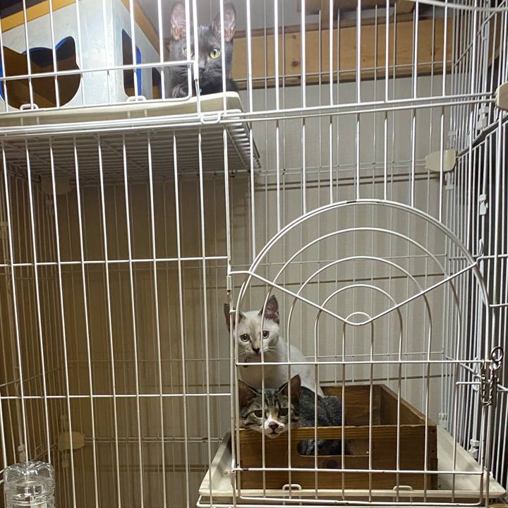 971d1375 5173 405f be0c cd87067e6fe6 1631611349505