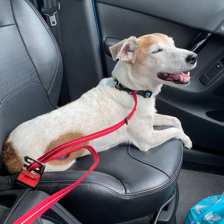 971d4572 4542 4ce6 906c e009758b7308 1599363414707