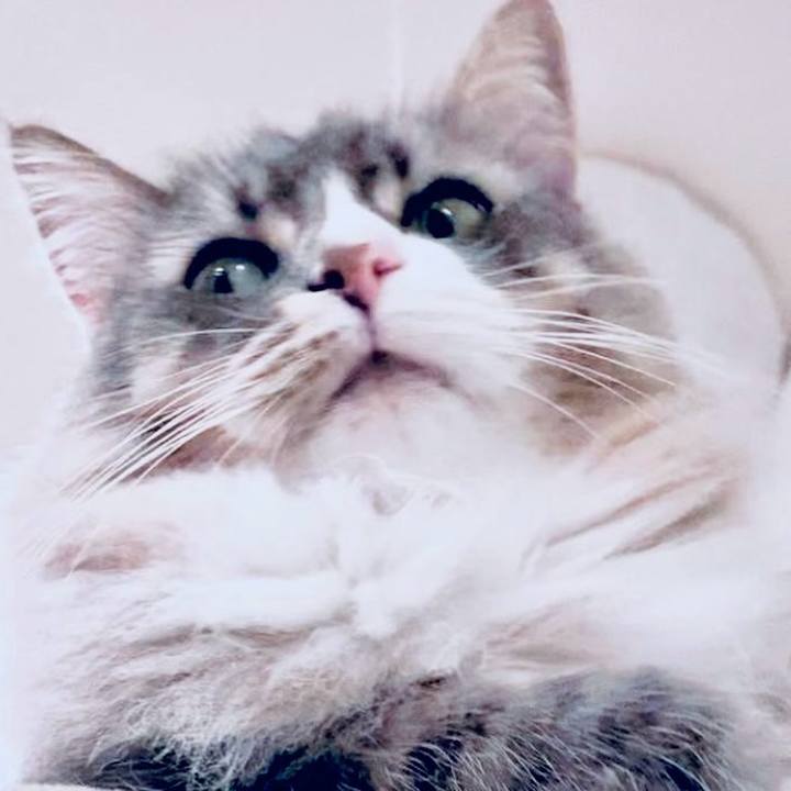 971daf6c d8ef 4e19 ac1d 76f401c34bc6 1762701623128