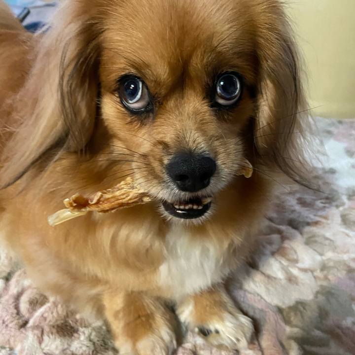 971db021 8bfc 4bd0 ae14 11d15da8c0e3 1593983516899