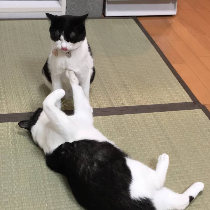 971de673 8373 405f 8403 f3602cef82c4 1516412141772