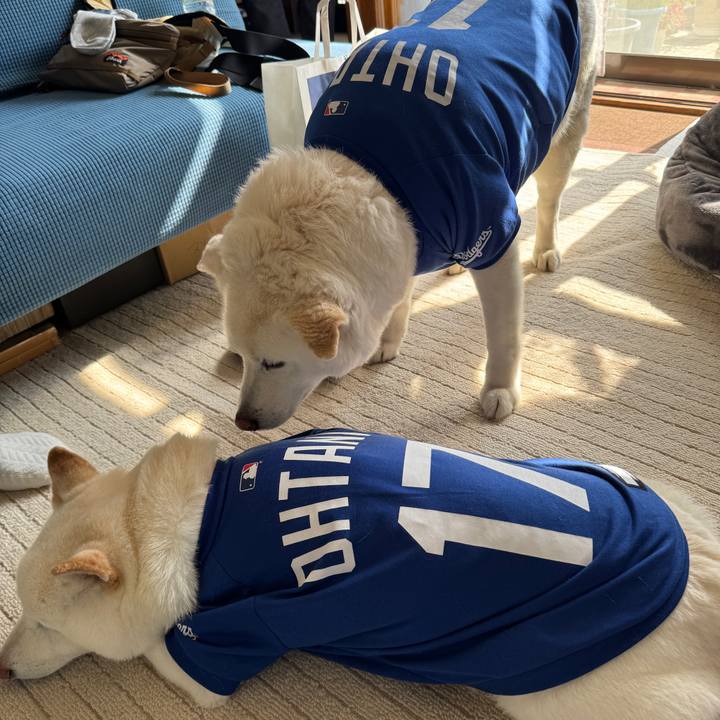 971e13c2 58d1 4fb0 bc47 adaa15450296 1745711495156