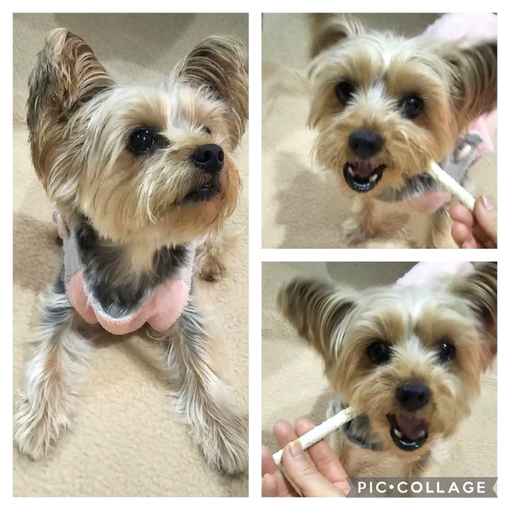 971e7b8e c2e5 408e b735 1bf41337ce3e 1642498680382