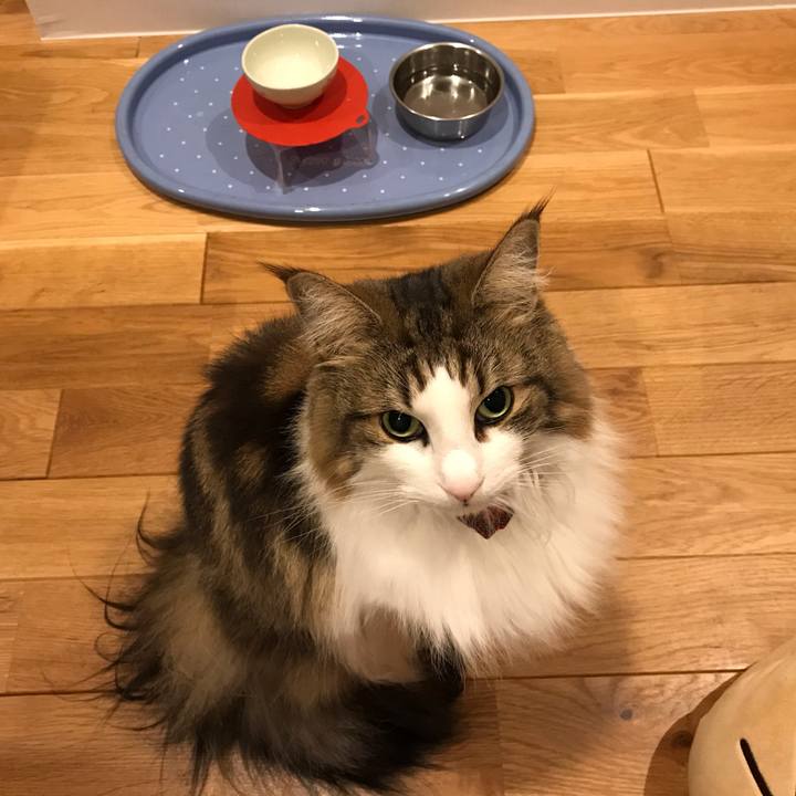 971e8859 a4b7 4bee ba3b 150467ff0fa9 1611325689072